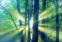 ãã®ç»åã«ã¯ alt 屿§ãæå®ããã¦ãããããã¡ã¤ã«å㯠summer_light.jpg ã§ã